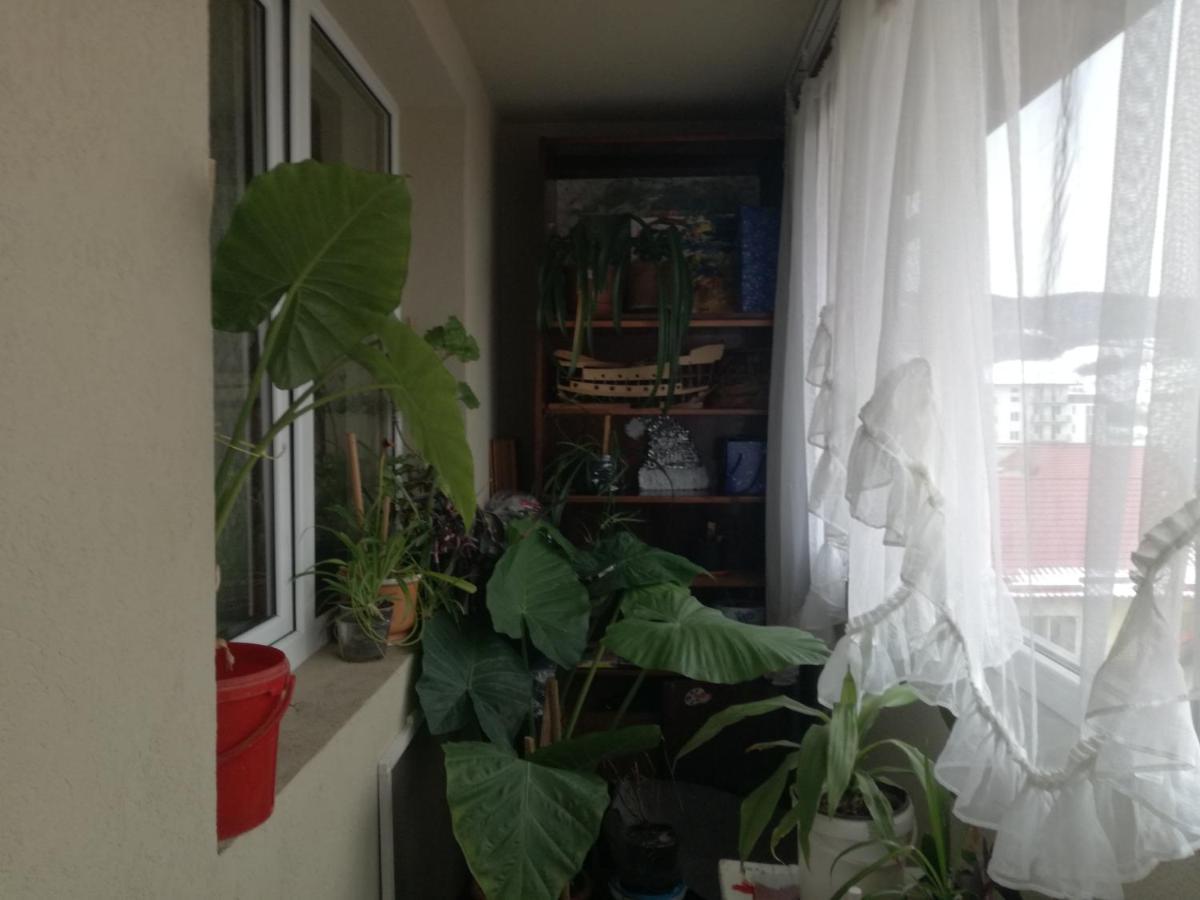 Apartament 2Camere - Prima Casa Floreşti Dış mekan fotoğraf